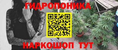 таблы Будённовск