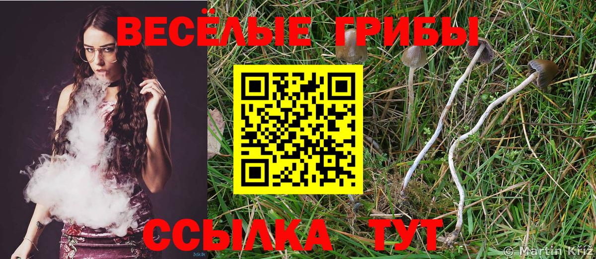 Псилоцибиновые грибы GOLDEN TEACHER Нарткала